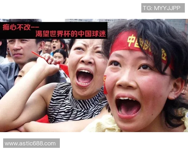 世界杯的荣耀与梦想交汇之地球迷心中永恒的激情与期待